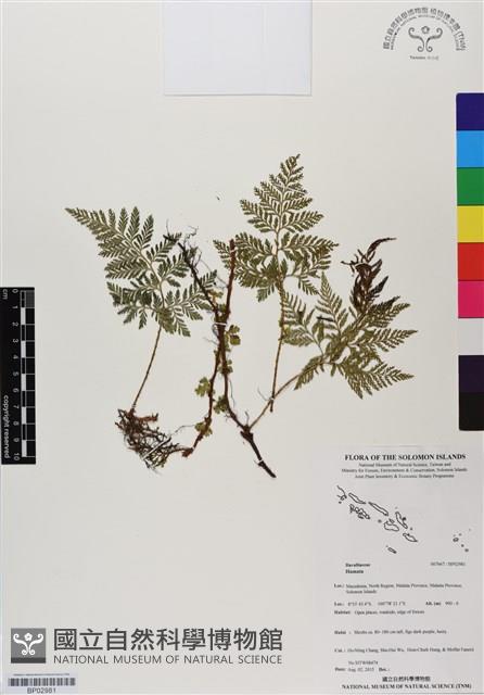 登錄號:BP02981藏品圖，第1張