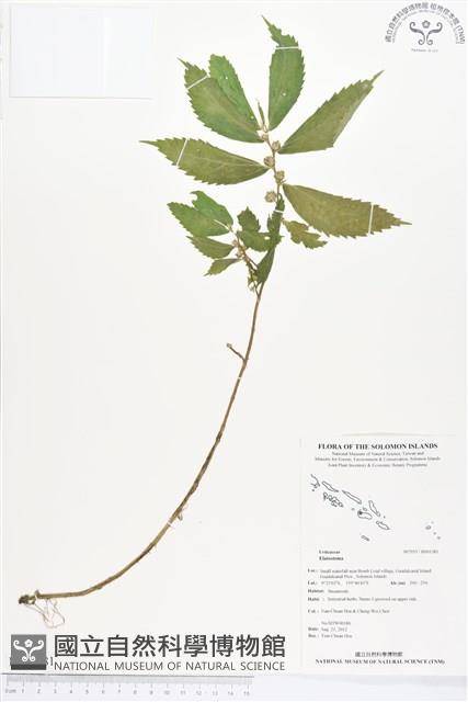 登錄號:BS01381藏品圖，第1張