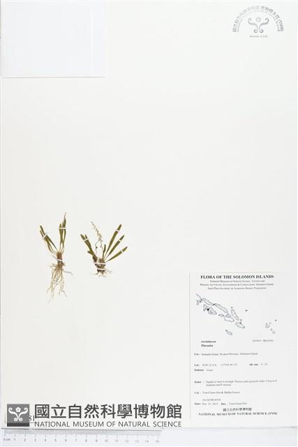 登錄號:BS04381藏品圖，第1張