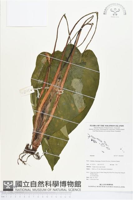 登錄號:BS02891藏品圖，第1張