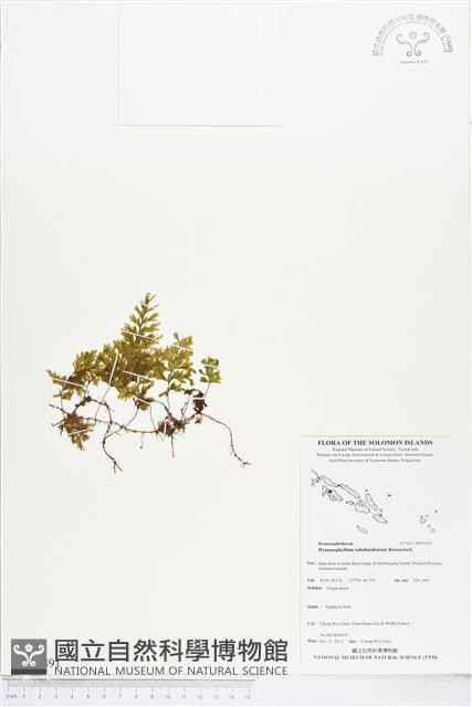 登錄號:BP01891藏品圖，第1張