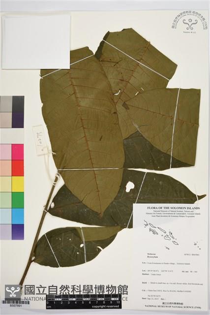 登錄號:BS07891藏品圖，第1張