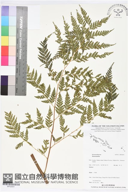 登錄號:BP02691藏品圖，第1張