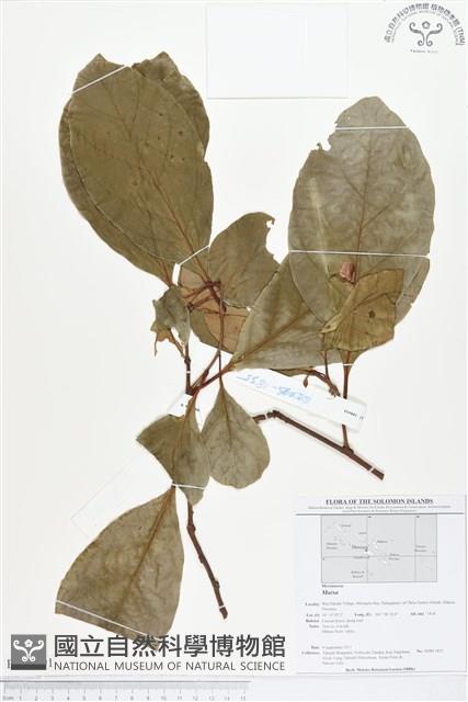 登錄號:BS01691藏品圖，第1張