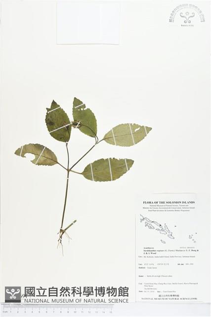 登錄號:BS04691藏品圖，第1張