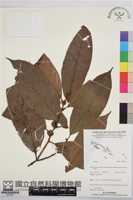 登錄號:BS07691藏品圖，第1張