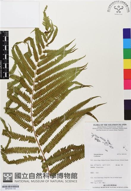 登錄號:BP03191藏品圖，第1張