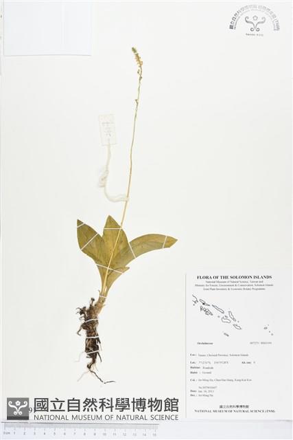 登錄號:BS03191藏品圖，第1張