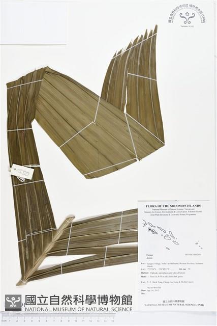登錄號:BS02491藏品圖，第1張
