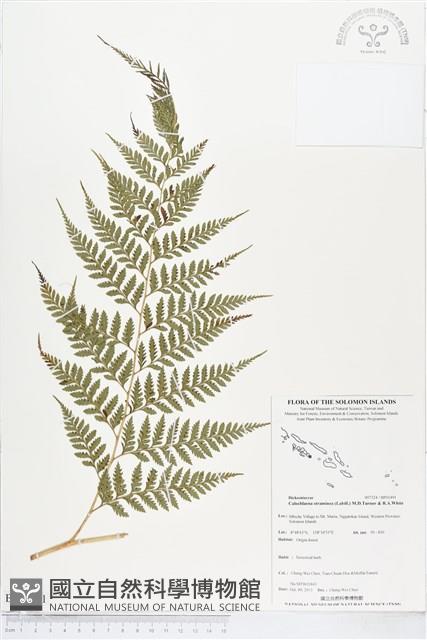 登錄號:BP01491藏品圖，第1張