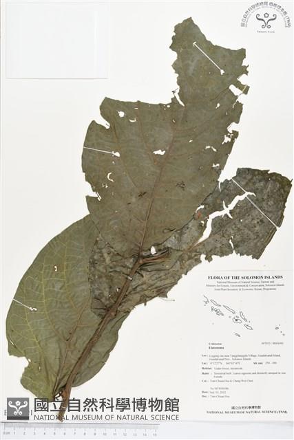 登錄號:BS01491藏品圖，第1張