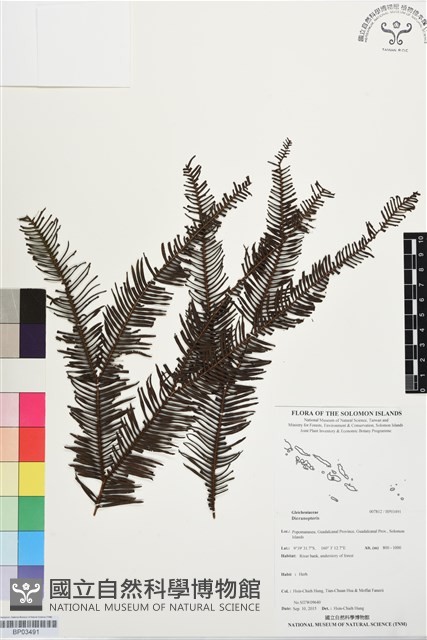 登錄號:BP03491藏品圖，第1張