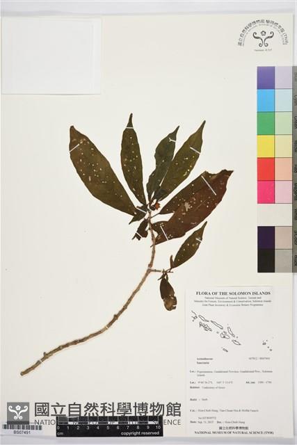 登錄號:BS07491藏品圖，第1張