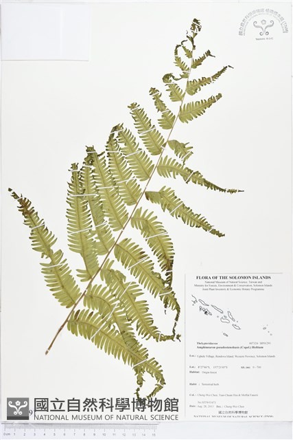 登錄號:BP01291藏品圖，第1張
