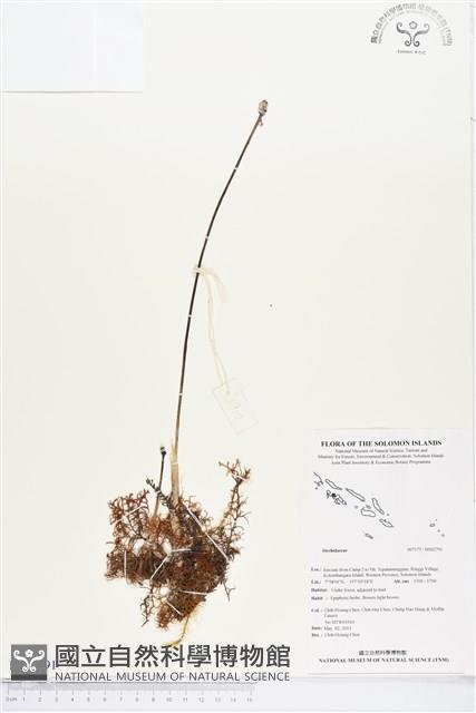 登錄號:BS02791藏品圖，第1張