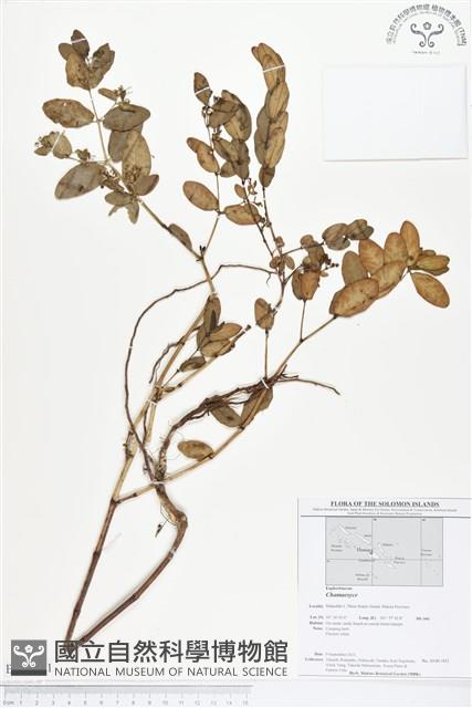 登錄號:BS01791藏品圖，第1張