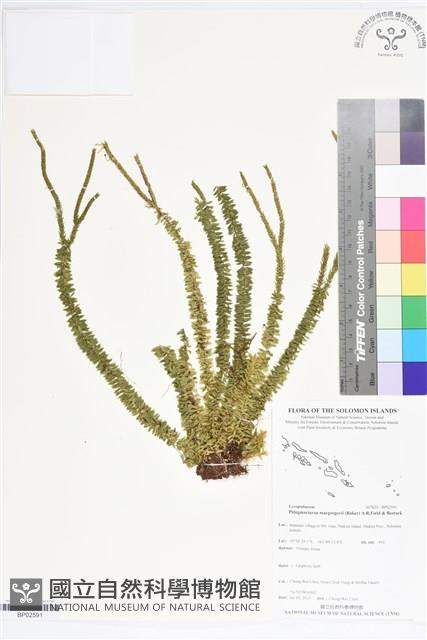 登錄號:BP02591藏品圖，第1張