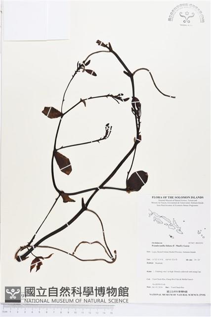 登錄號:BS04591藏品圖，第1張