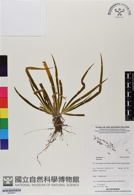 登錄號:BS06991藏品圖，第1張