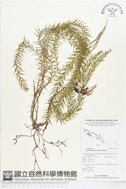 登錄號:BP00391藏品圖，第1張