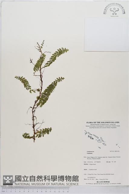 登錄號:BP01391藏品圖，第1張