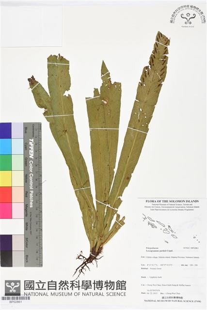 Accession Number:BP02861 Collection Image