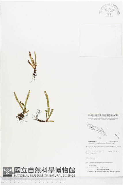 登錄號:BP01861藏品圖，第1張