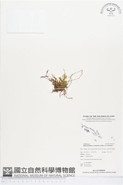 登錄號:BS01861藏品圖，第1張