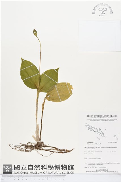 登錄號:BS03861藏品圖，第1張