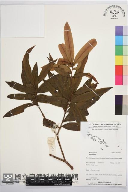 登錄號:BG00061藏品圖，第1張