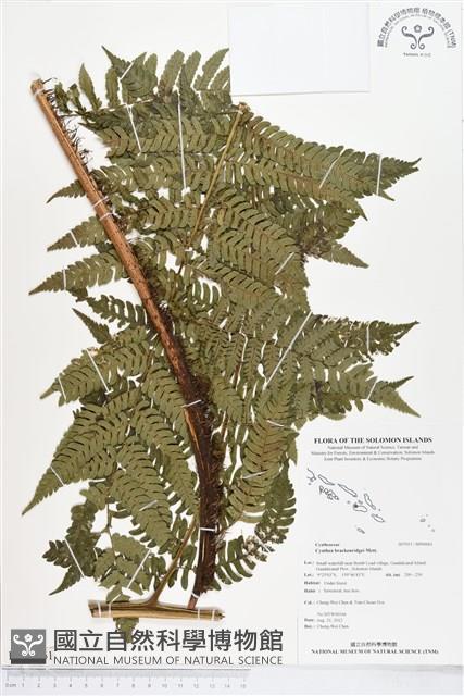 登錄號:BP00061藏品圖，第1張