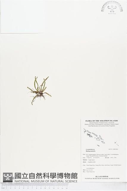 登錄號:BP01061藏品圖，第1張