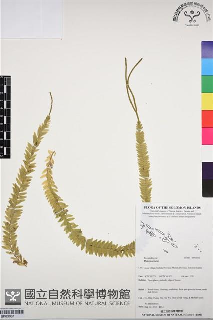 登錄號:BP03061藏品圖，第1張