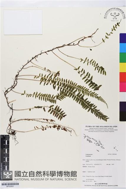 登錄號:BP02661藏品圖，第1張