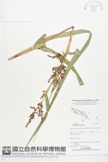 登錄號:BS04661藏品圖，第1張