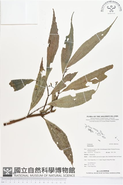 登錄號:BS02161藏品圖，第1張