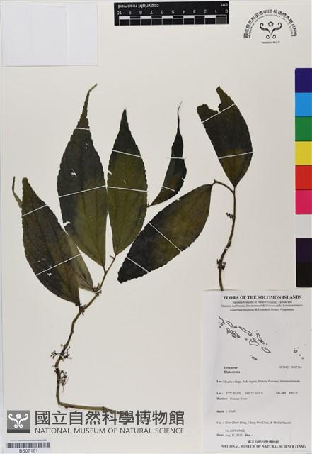 登錄號:BS07161藏品圖，第1張