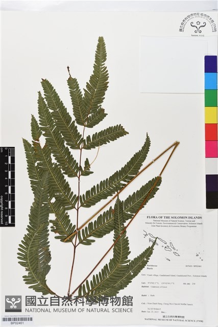 登錄號:BP02461藏品圖，第1張