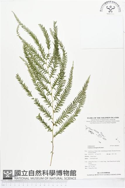 登錄號:BP00461藏品圖，第1張