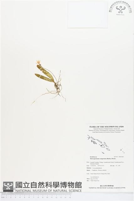 登錄號:BS01461藏品圖，第1張