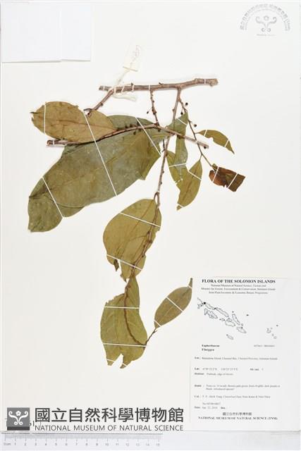 登錄號:BS04461藏品圖，第1張