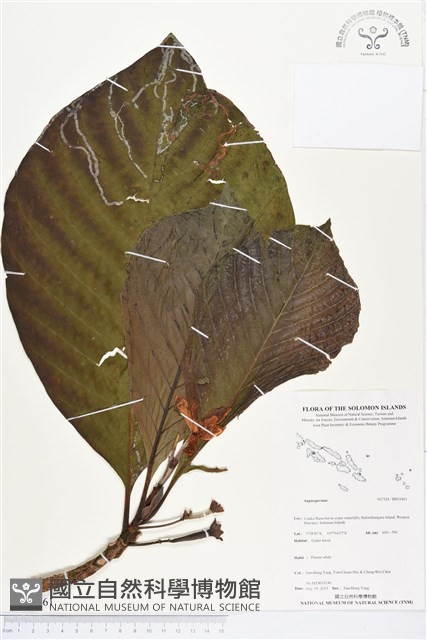 登錄號:BS03461藏品圖，第1張