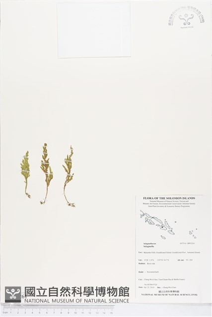 登錄號:BP02261藏品圖，第1張
