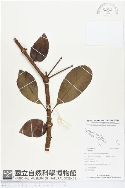 登錄號:BS03261藏品圖，第1張