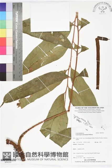 登錄號:BP02761藏品圖，第1張