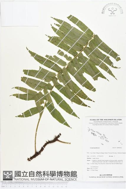 登錄號:BP00761藏品圖，第1張