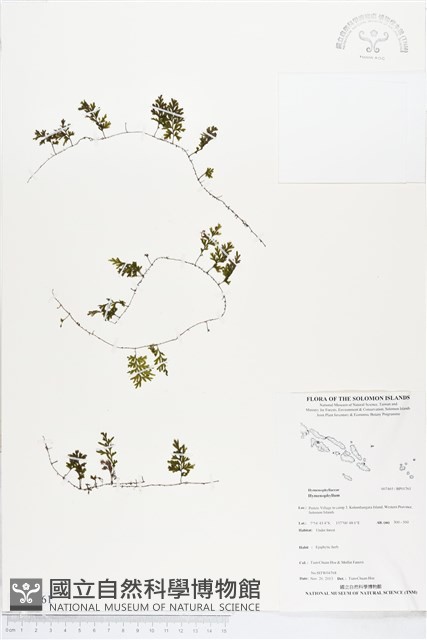 登錄號:BP01761藏品圖，第1張