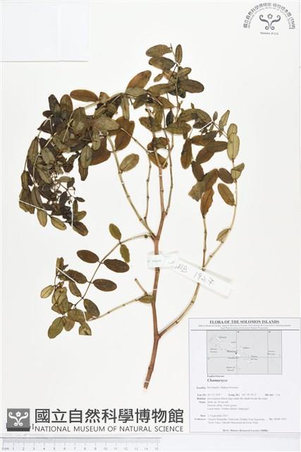 登錄號:BS01761藏品圖，第1張