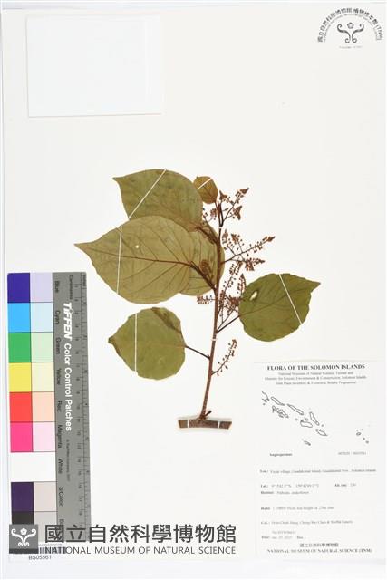 登錄號:BS05561藏品圖，第1張