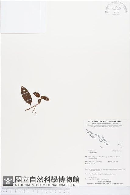 登錄號:BS03561藏品圖，第1張